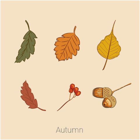 autumn-season-leaves-nature-plant-6663576