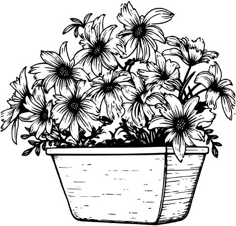 flower-nature-bloom-flora-plant-9414337