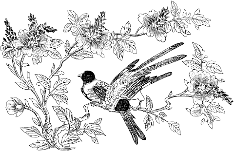 birds-branches-flowers-line-art-5935635