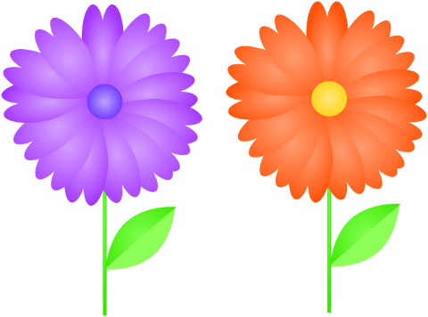 flowers-spring-plant-bottomless-9857981