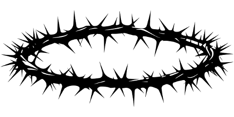 crown-of-thorns-thorns-crown-christ-9369290