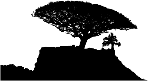 tree-landscape-silhouette-nature-8633754