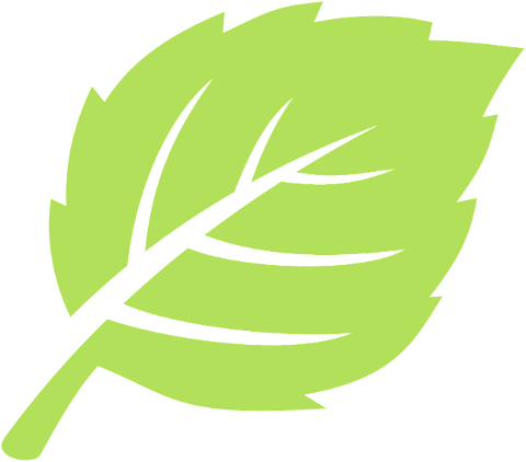 green-leaf-plant-nature-spring-9850197