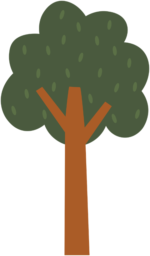 tree-nature-wood-forest-plant-9605599