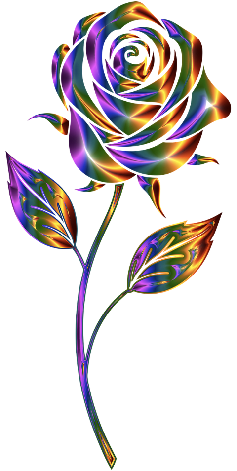 rose-flower-plant-decorative-8815257