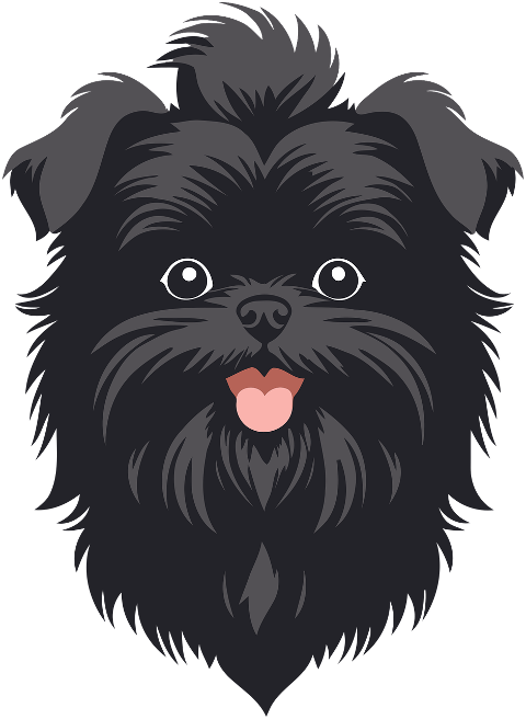 dog-puppy-animal-pet-black-fluffy-9802796