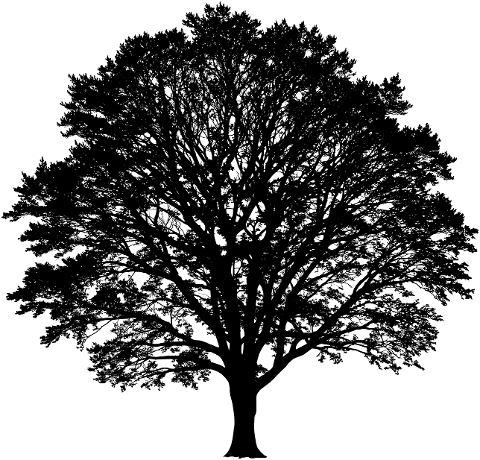 ai-generated-tree-nature-silhouette-9588154