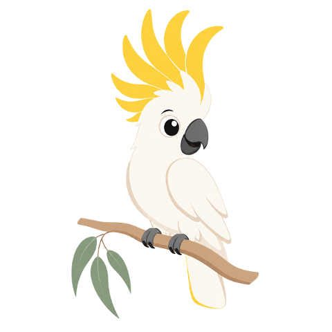 cockatoo-yellow-crest-10313937