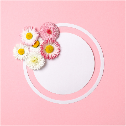 flowers-circle-frame-border-6556961