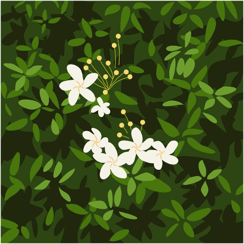 flower-nature-bloom-plant-blossom-9681119