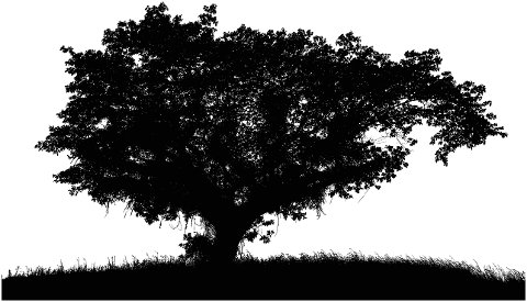 trees-landscape-silhouette-nature-7989494