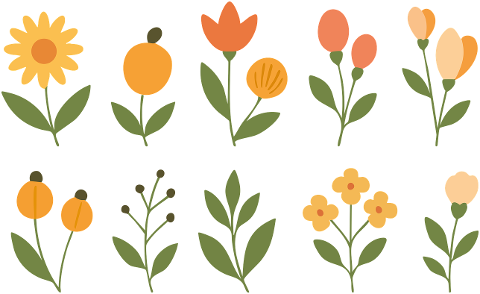 flower-floral-motifs-spring-9545204