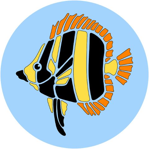 fish-animal-cartoon-tropical-fish-8415923