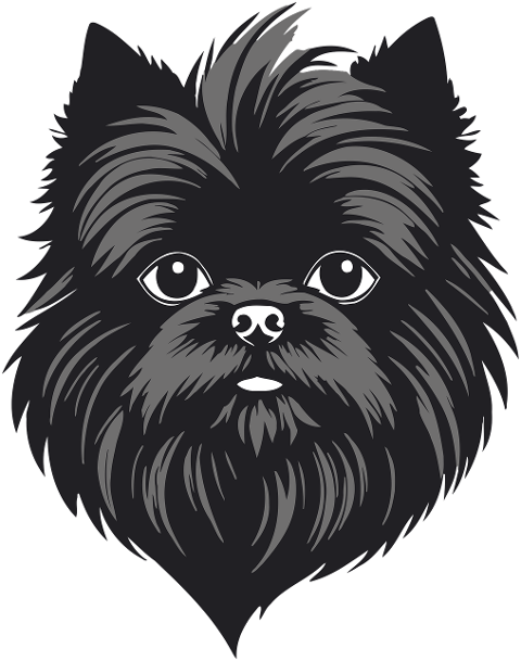 dog-puppy-animal-pet-black-fluffy-9802797