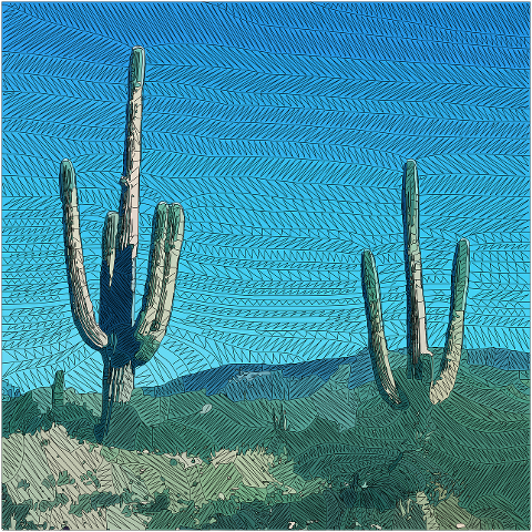 cacti-desert-saguaro-arizona-7162265