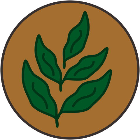 leaves-doodle-sticker-circle-boho-8437392