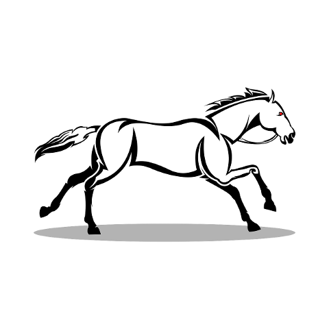stallion-pony-equestrian-equine-7638138