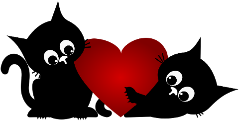 cats-heart-kittens-black-cats-pets-9274126