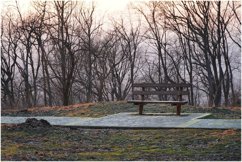 bench-park-autumn-fall-sad-6074542