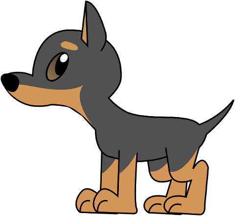 dog-puppy-animal-pinscher-canine-7089570