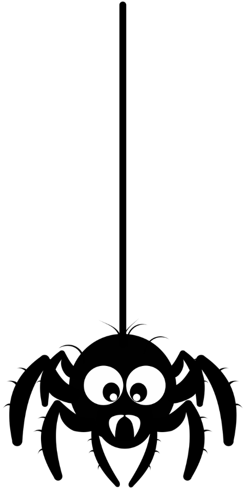 spider-critter-insect-thread-9052592