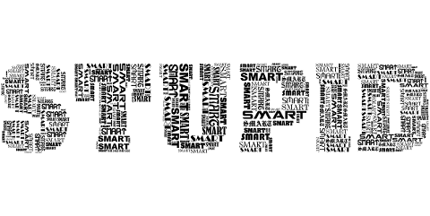 smart-stupid-typography-word-cloud-8613072