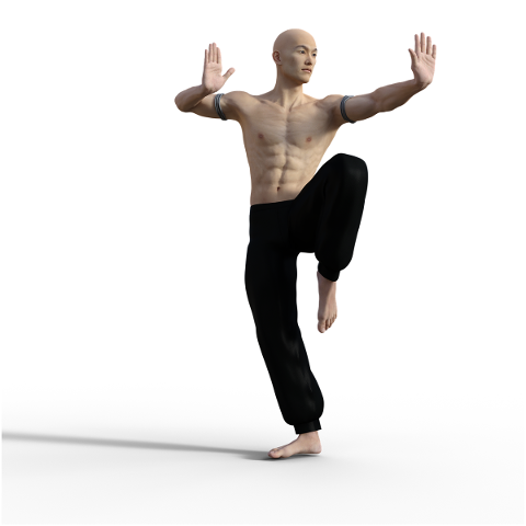 kung-fu-pose-fighter-wushu-action-4938647