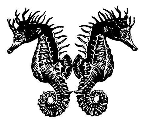 seahorse-animal-vintage-drawing-4396856