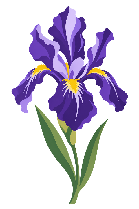 purple-iris-flower-yellow-spring-10453251
