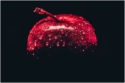 apple-fruit-orchard-costs-harvest-4814525