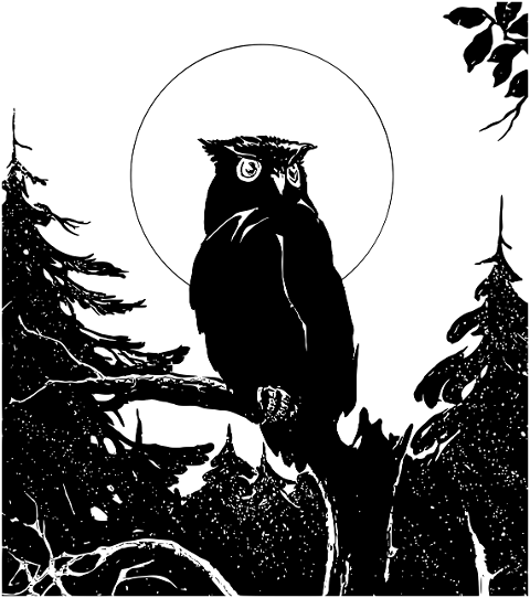 owl-forest-silhouette-line-art-7305427