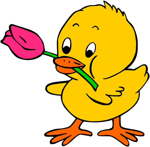 easter-chick-tulip-flower-crocus-6122847