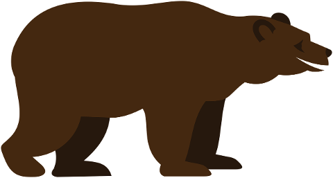 animal-grizzly-bear-mammal-bear-7075972