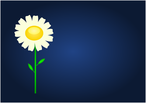 flower-nature-daisy-design-6676686