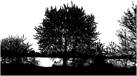 trees-landscape-silhouette-lake-5014662