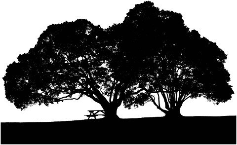 trees-landscape-silhouette-nature-8000921