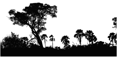 nature-landscape-silhouette-trees-4440363