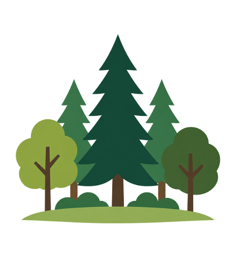 forest-pine-trees-evergreen-nature-10476685