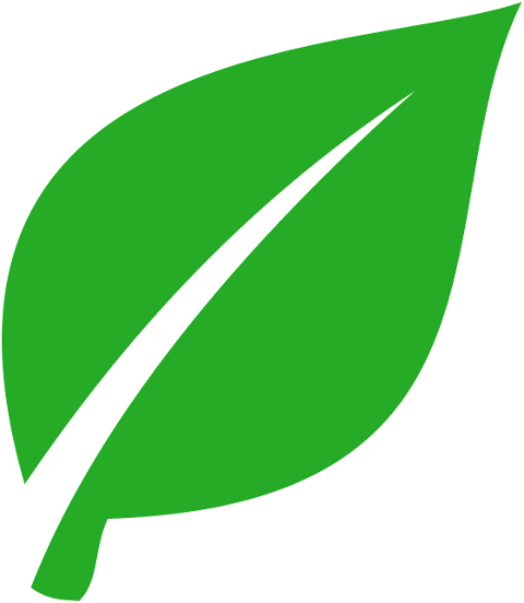 green-leaf-plant-nature-spring-9850195