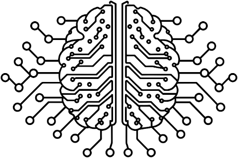 brain-mind-head-psychology-9538124