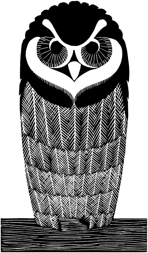 owl-bird-animal-wildlife-line-art-7136886