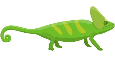 chameleon-lizard-animal-reptile-8204925