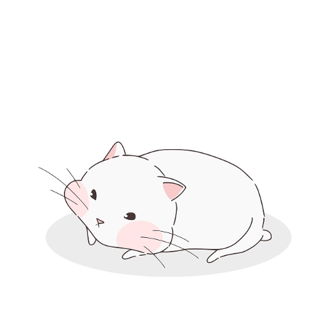 hamster-nature-rodent-animal-cute-9681111