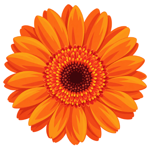 gerbera-orange-flower-petal-10480267