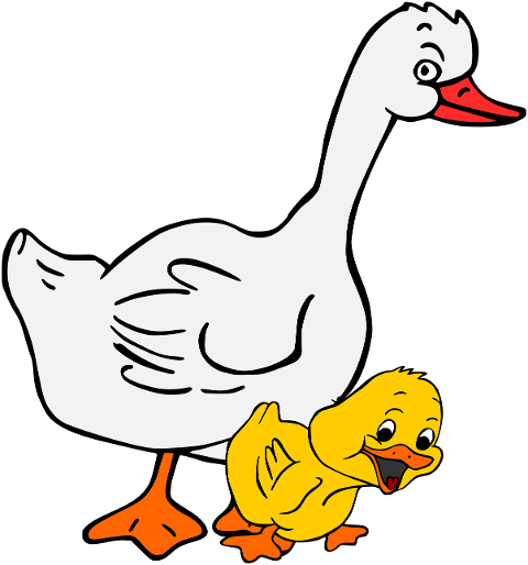 duck-chick-birds-duckling-goose-6122907