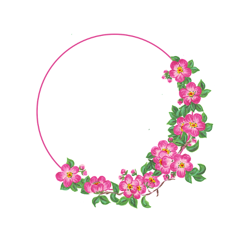 flower-border-cherry-blossom-spring-6873302