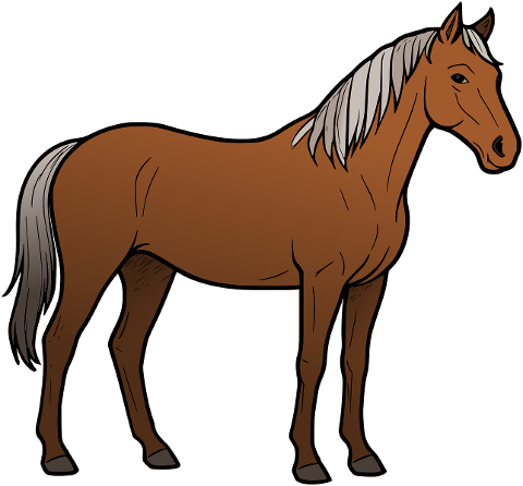 horse-nature-animal-pony-mammal-9677200