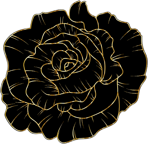 rose-flower-black-gold-line-art-6346857