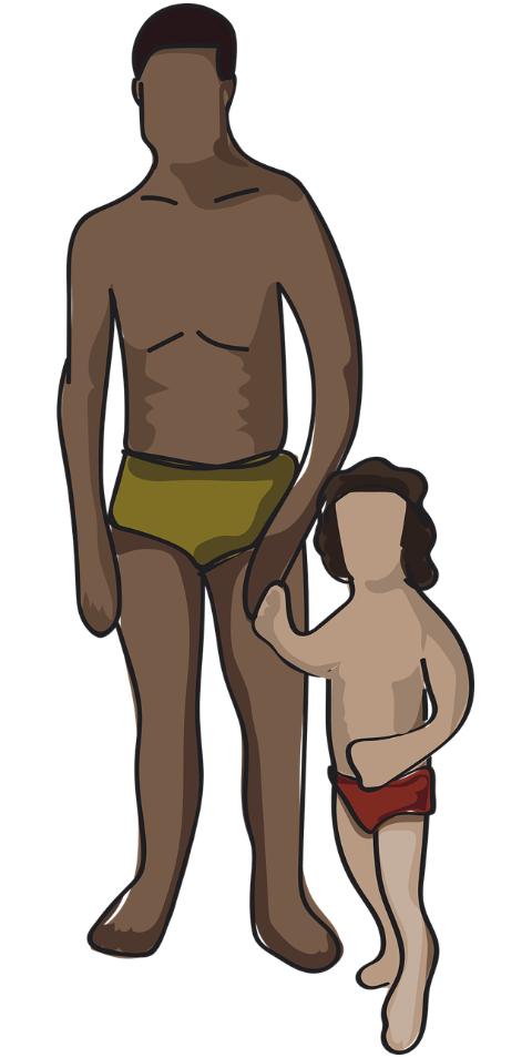 pool-swimming-summer-recreation-9433545