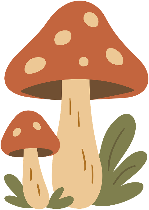 nature-autumn-forest-mushroom-9720398